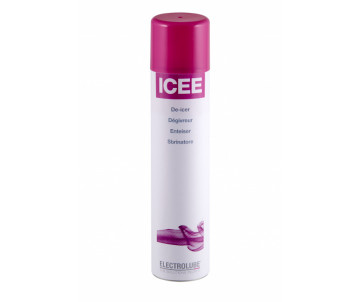 ICEE600